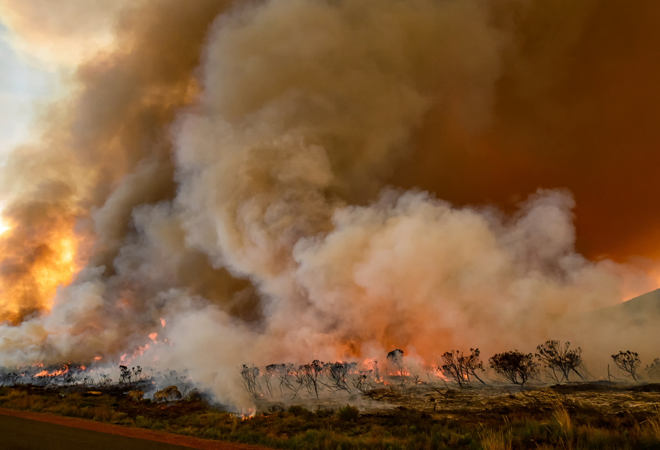 Maui Wildfire - ASK LLP